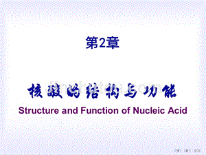 基础医学-细胞生物学-核酸的结构与功能课件