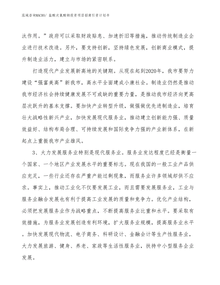 盐酸次氯酸钠投资项目招商引资计划书_第4页