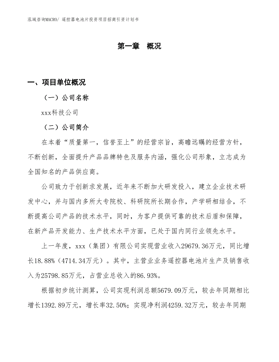 遥控器电池片投资项目招商引资计划书_第1页