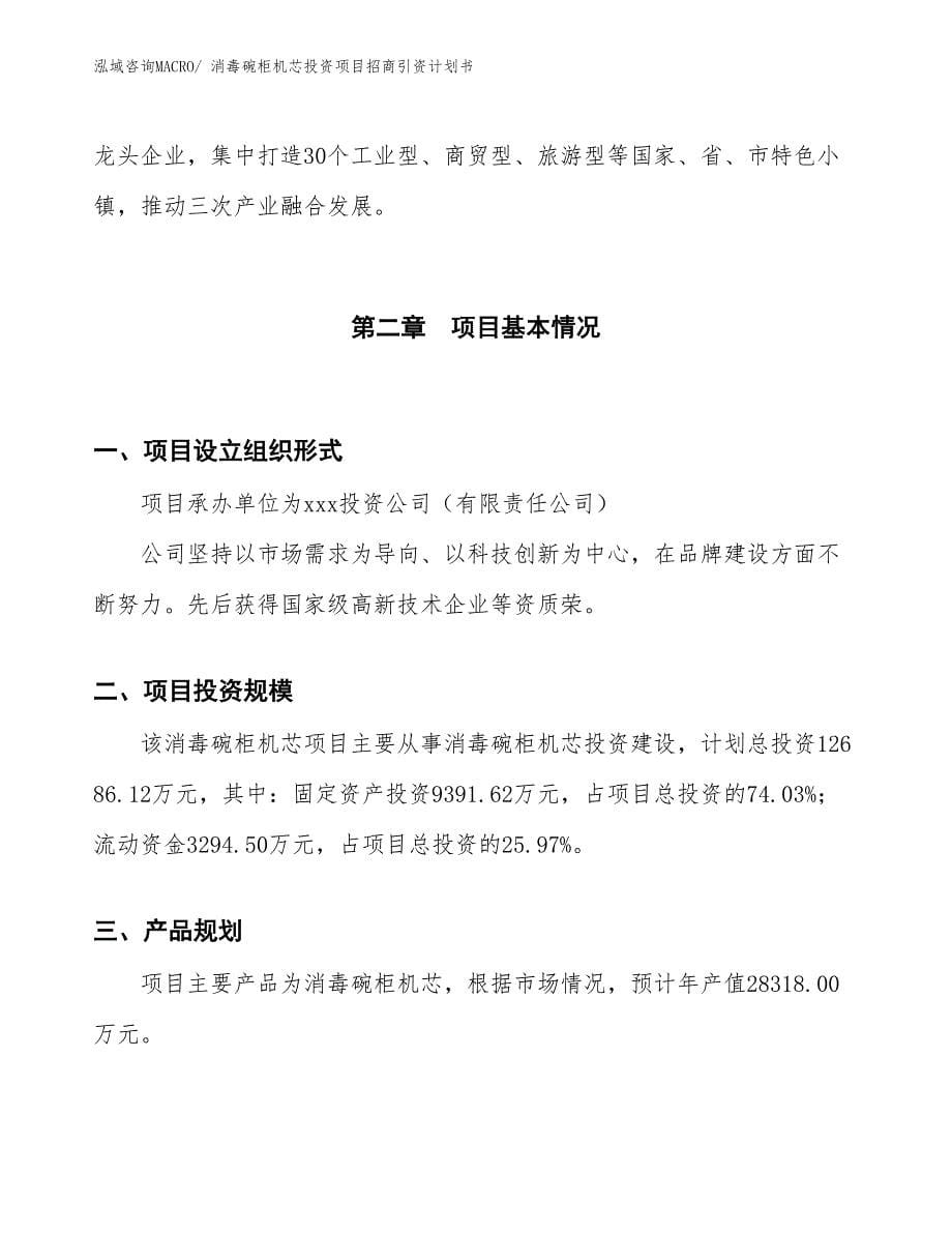 消毒碗柜机芯投资项目招商引资计划书_第5页