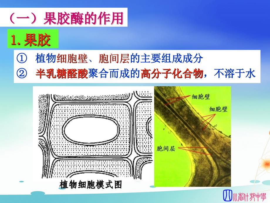 09果胶酶在果汁生产中的应用.ppt_第2页