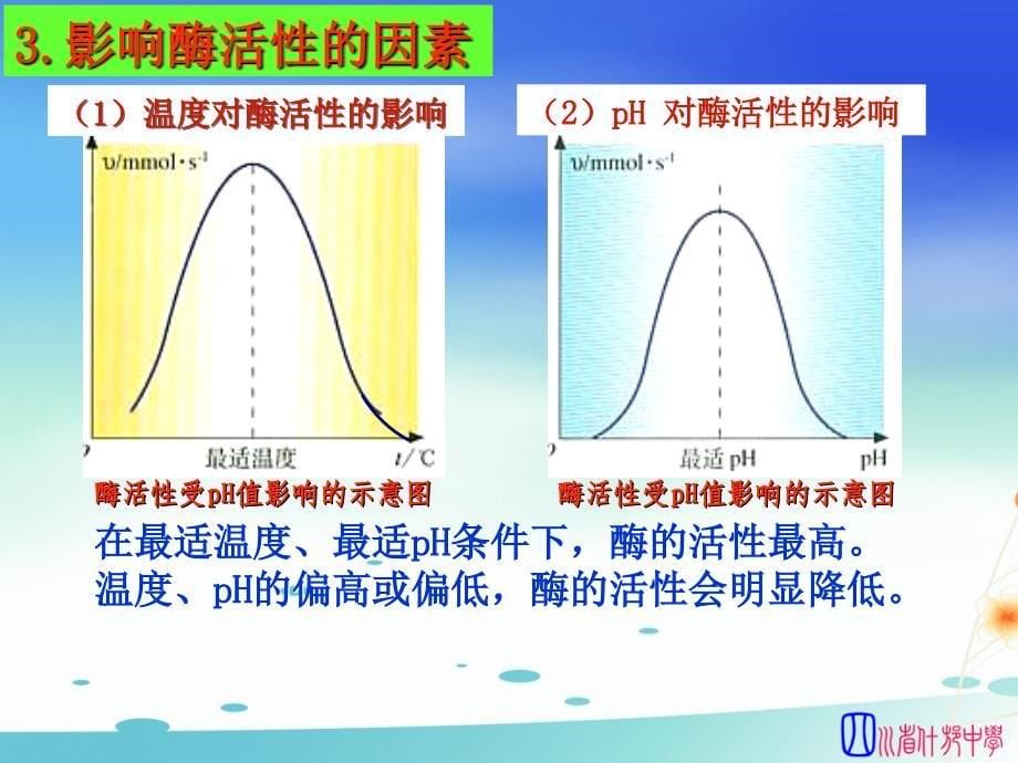 09果胶酶在果汁生产中的应用.ppt_第5页