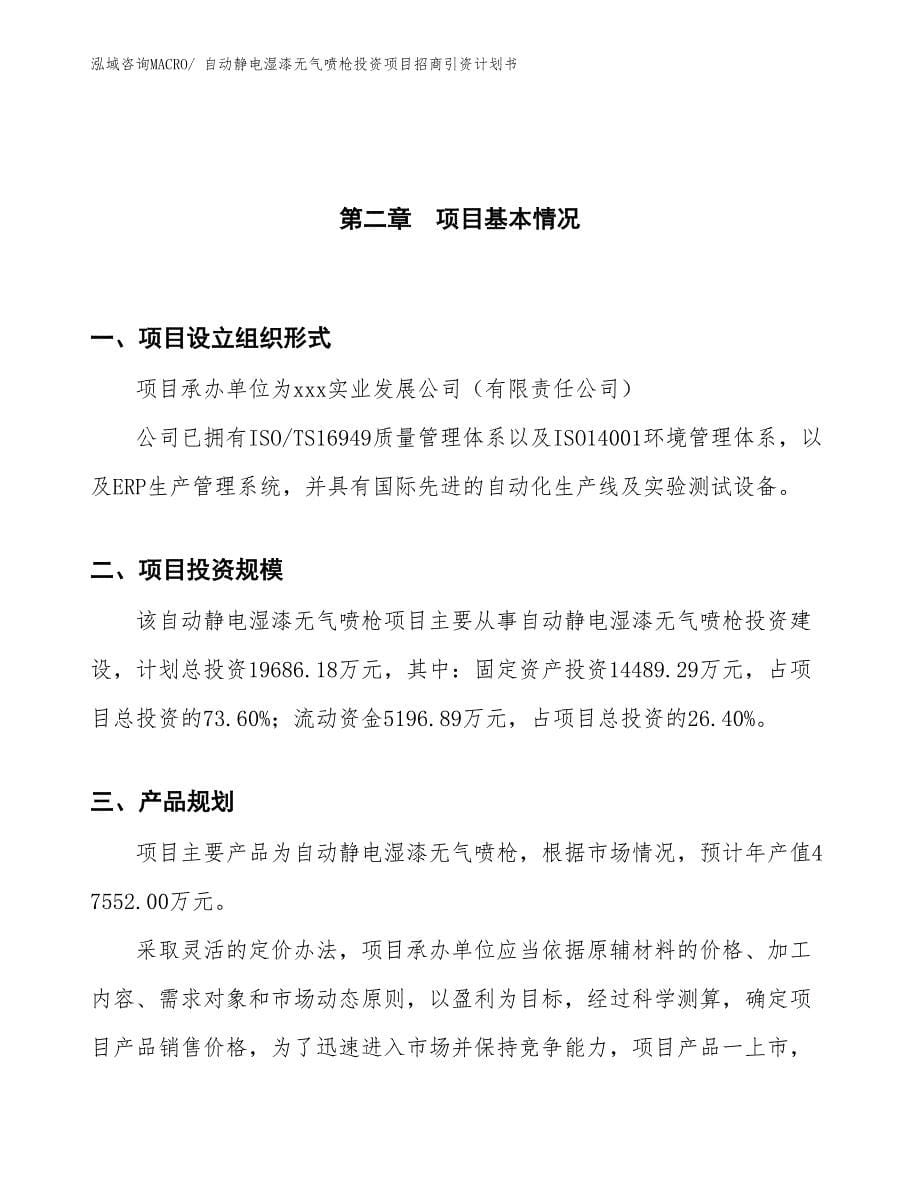 自动静电湿漆无气喷枪投资项目招商引资计划书_第5页