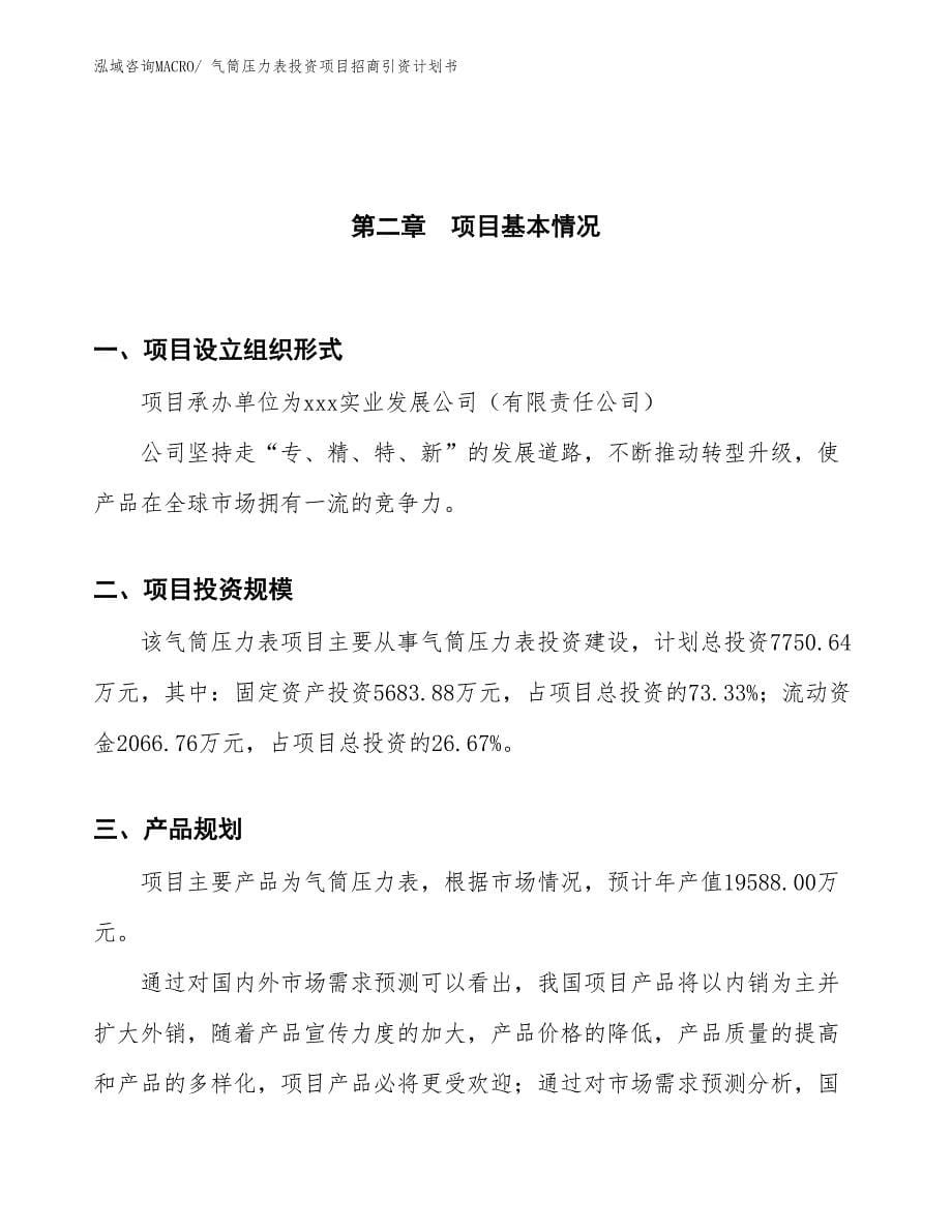 气筒压力表投资项目招商引资计划书_第5页