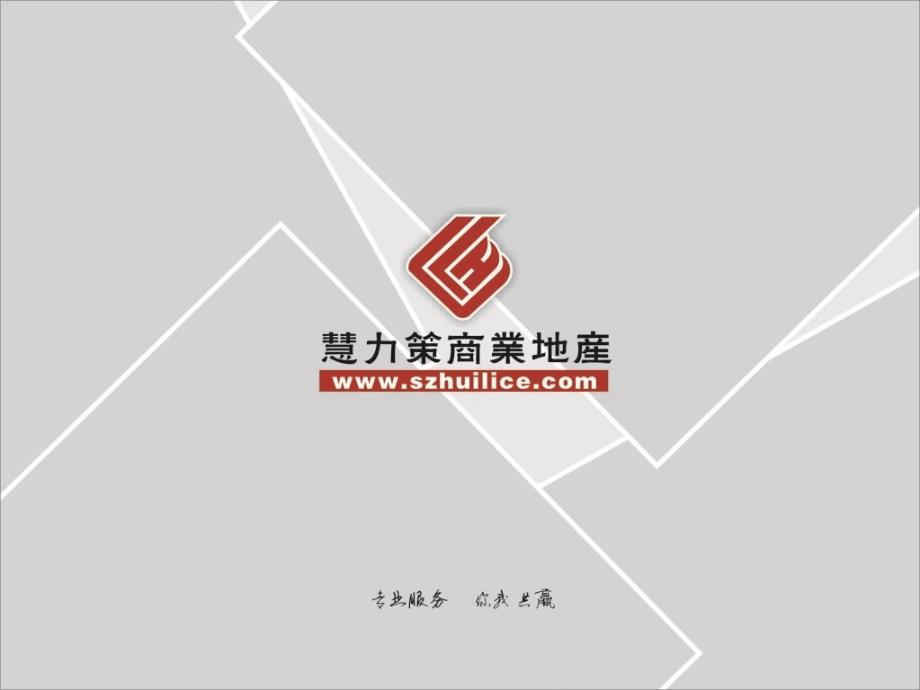 2014东源宝晟城项目初步思路建议报告_第1页