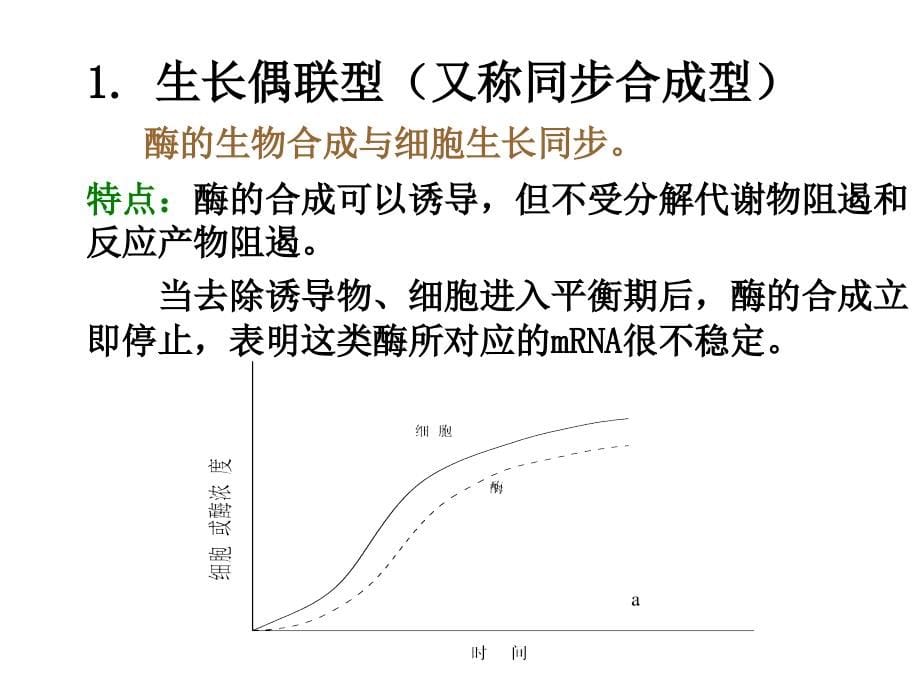 酶工程幻灯片_第5页