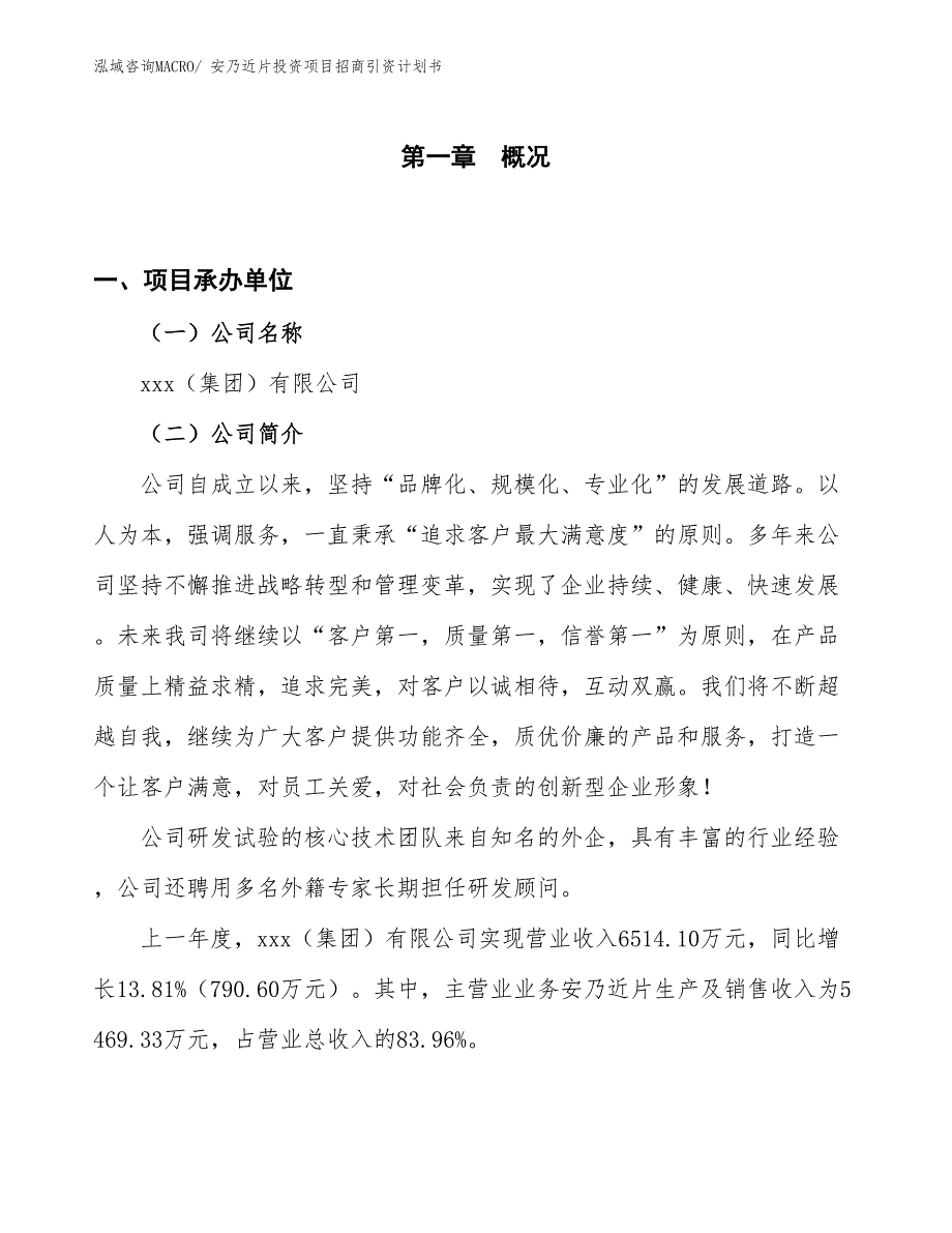 安乃近片投资项目招商引资计划书_第1页