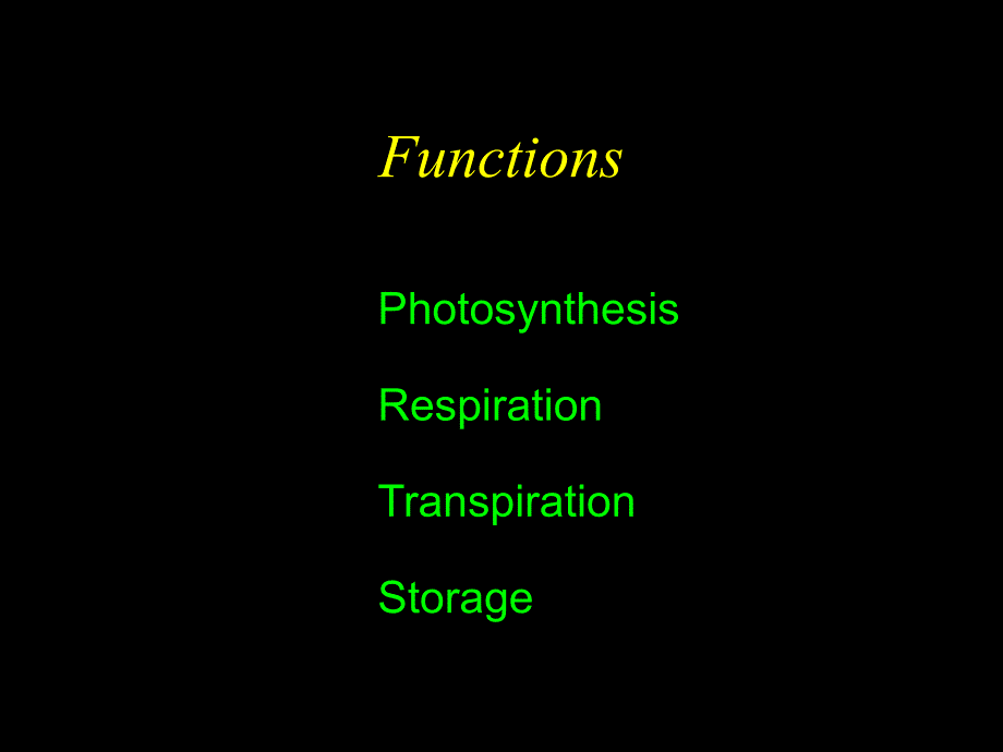 2015药用植物学教案叶的形态与结构_第2页