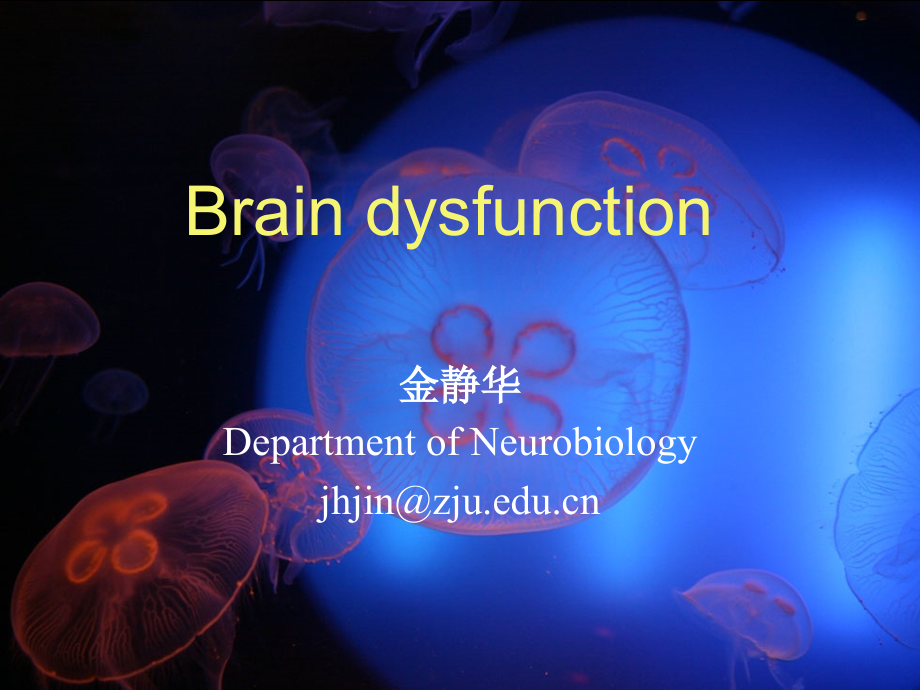 神经系统病理生理理—金静华(整合课程brain-dysfunction_第1页