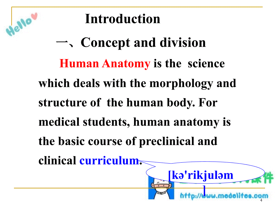 系统解剖学PPT课件---绪论、骨学、躯干骨课件_第4页
