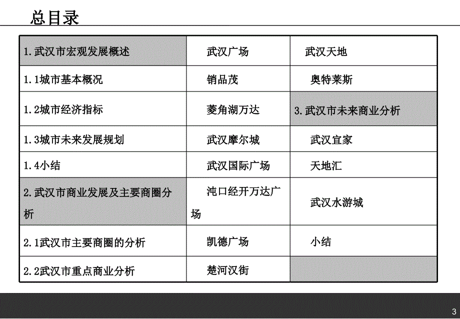 2013年武汉市商业市场现状调研报告上精选_第3页