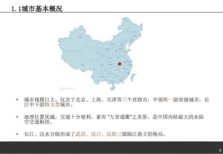 2013年武汉市商业市场现状调研报告上精选_第5页
