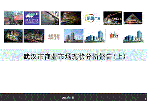 2013年武汉市商业市场现状调研报告上精选