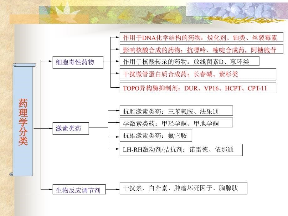 肺癌常用化疗药物介绍1课件_第5页