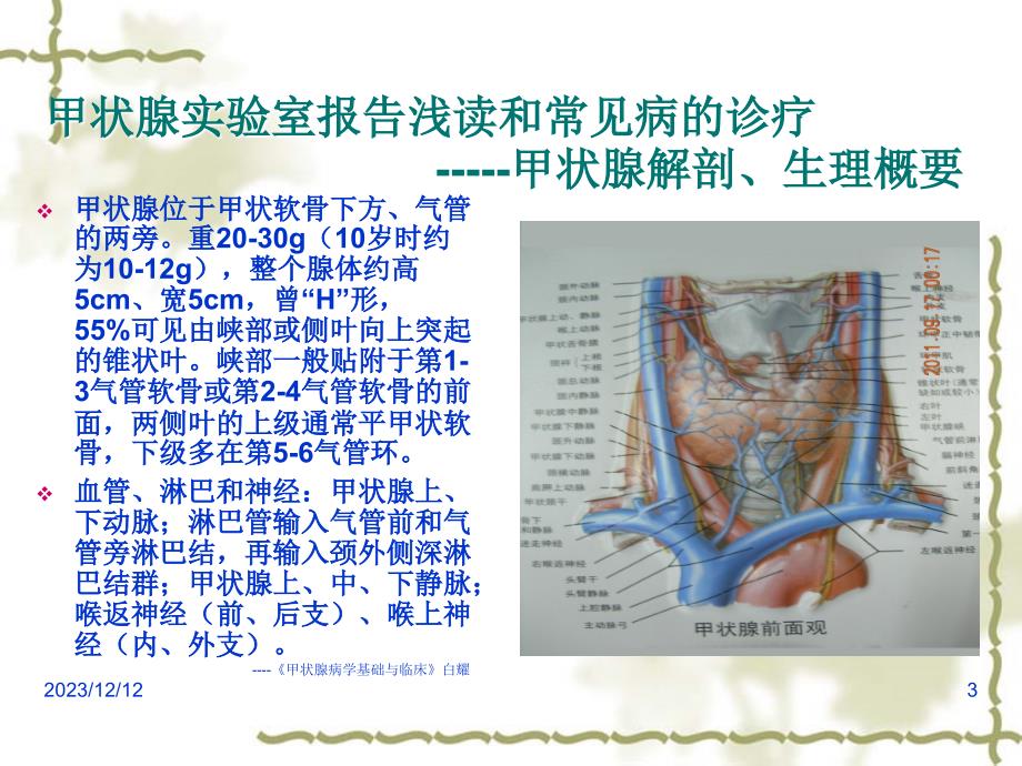 甲状腺疾病实验室报告的浅读2-of-wln_第3页