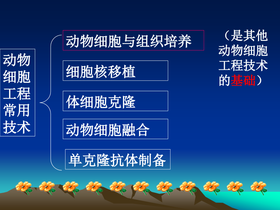 动物细胞工程幻灯片_第2页