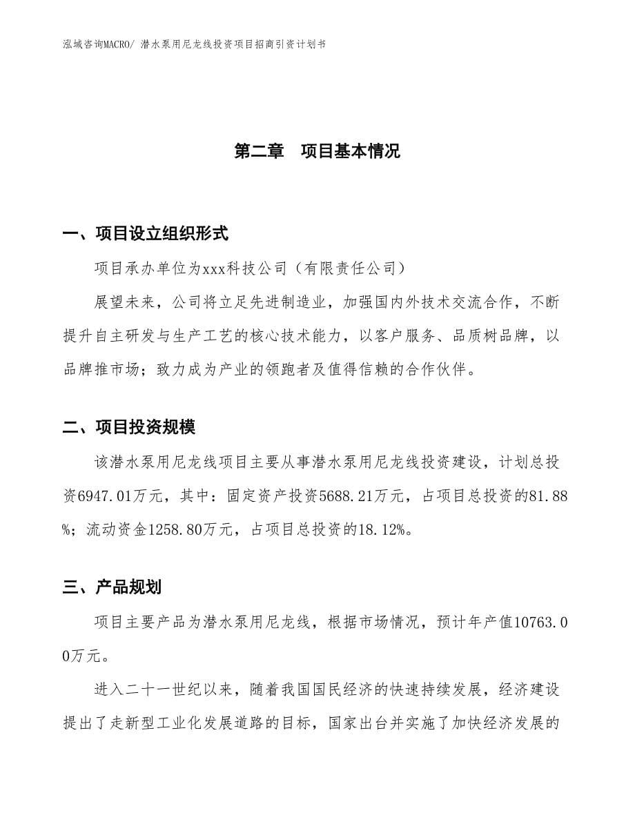 潜水泵用尼龙线投资项目招商引资计划书_第5页