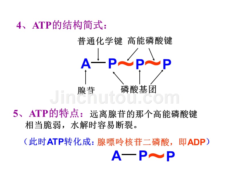 生物：4.1《atp和酶》课件(苏教版必修1)_第3页