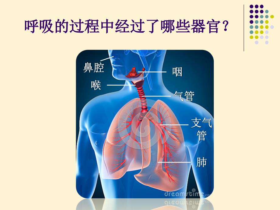 15.肺的保健课件--刘海鹏_第2页