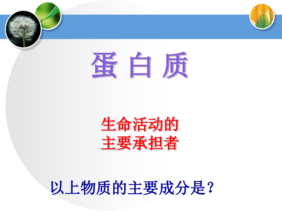 2009江西省高考生物研讨会示范课--蛋白质专题复习_第3页