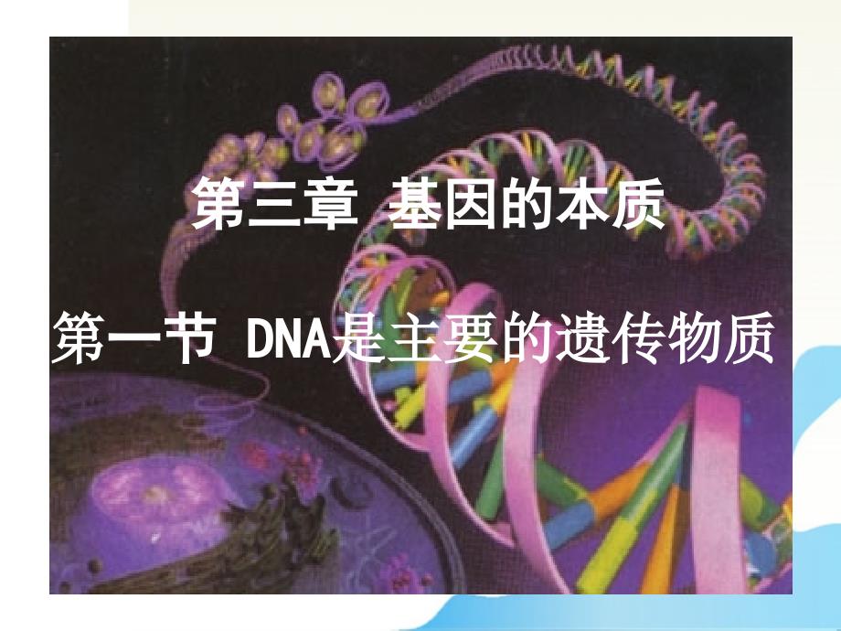 dna是主要的遗传物质课件22_第1页