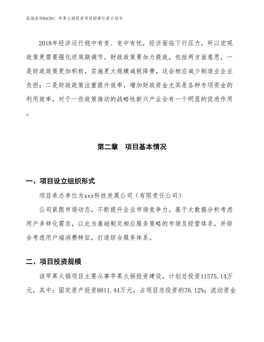 苹果火锅投资项目招商引资计划书_第5页