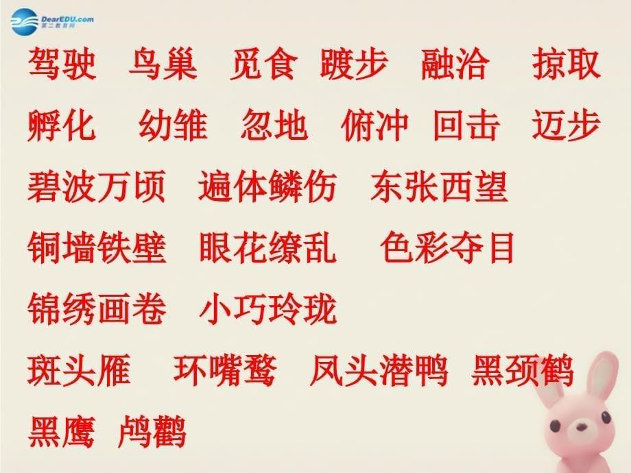 2014秋四年级语文上册 神奇的鸟岛课件4 北京版_第5页