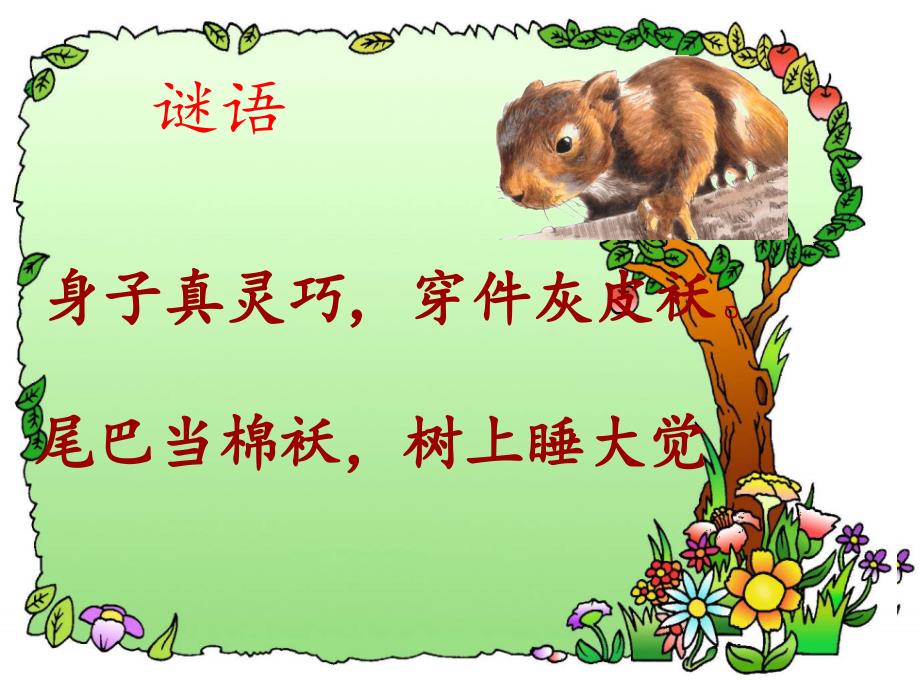 2015春鲁教版语文三下《松鼠》ppt课件5_第1页