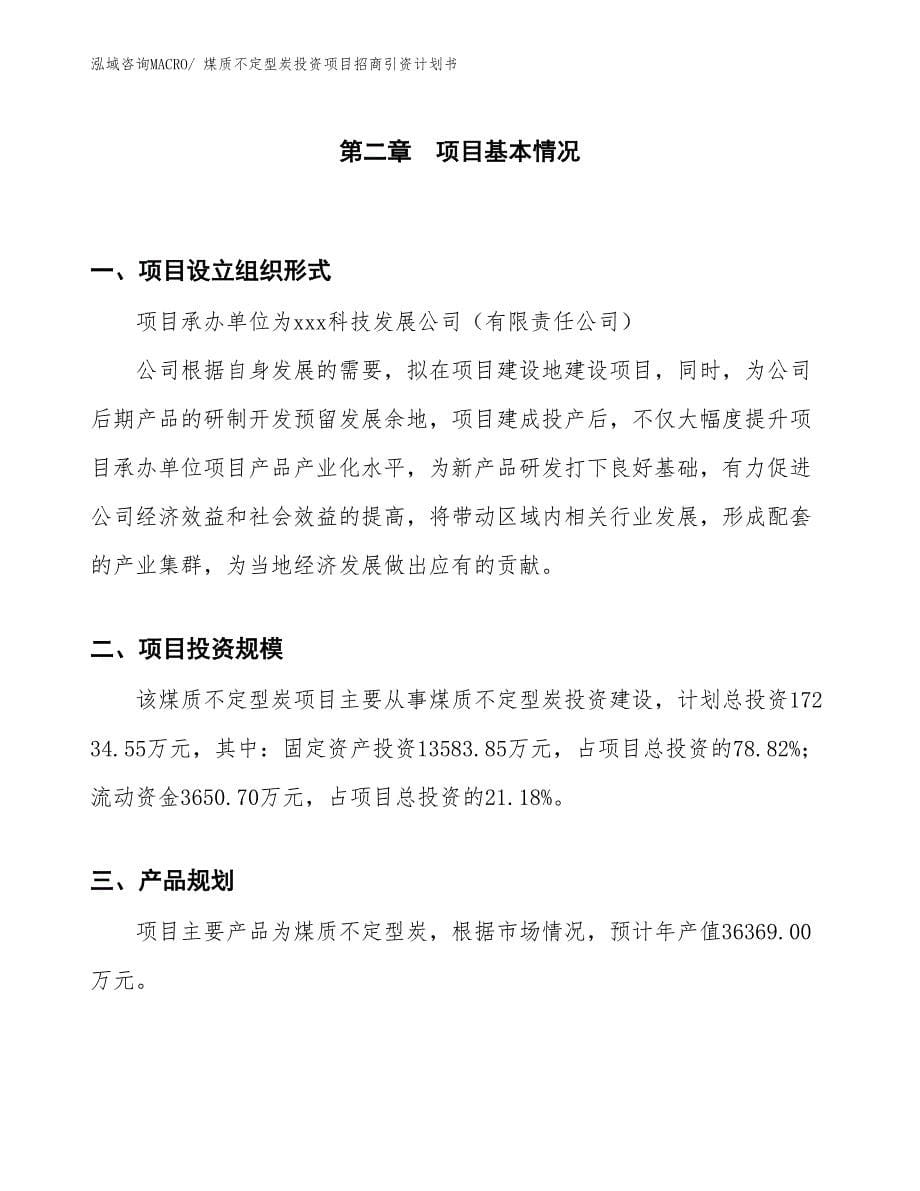 煤质不定型炭投资项目招商引资计划书_第5页