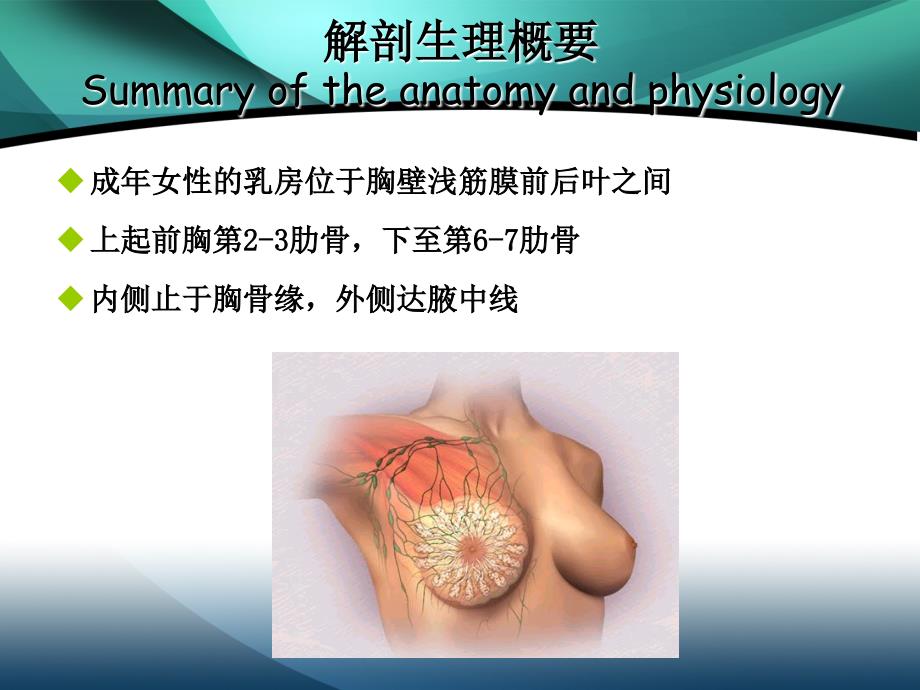 乳房疾病ppt-病理学课件_第2页
