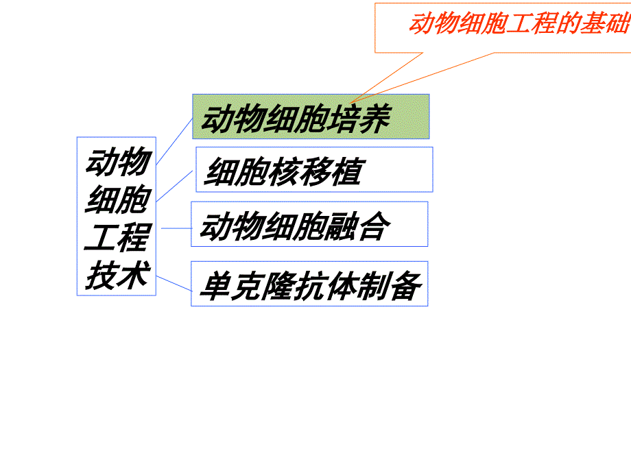 yy动物细胞工程12_第3页