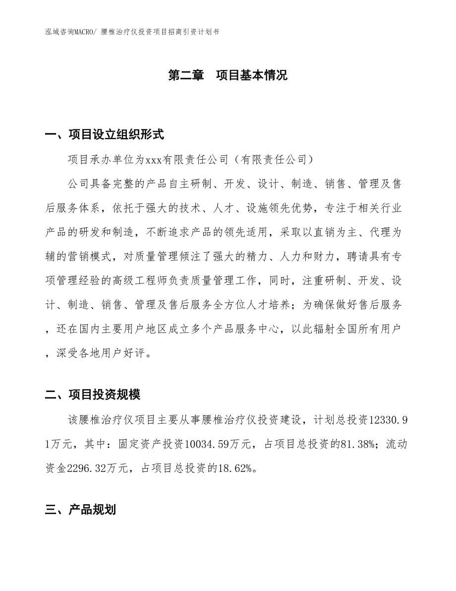 腰椎治疗仪投资项目招商引资计划书_第5页