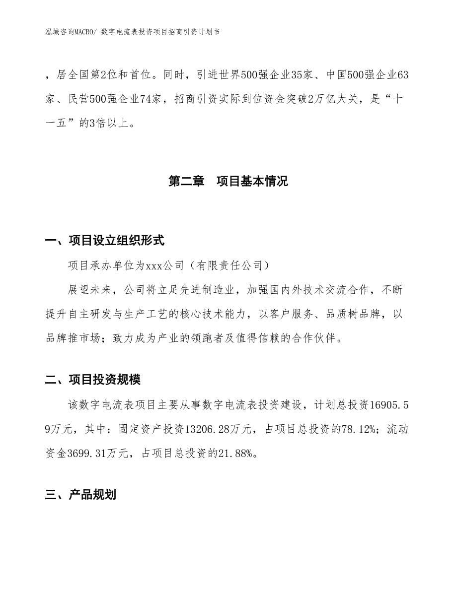 数字电流表投资项目招商引资计划书_第5页