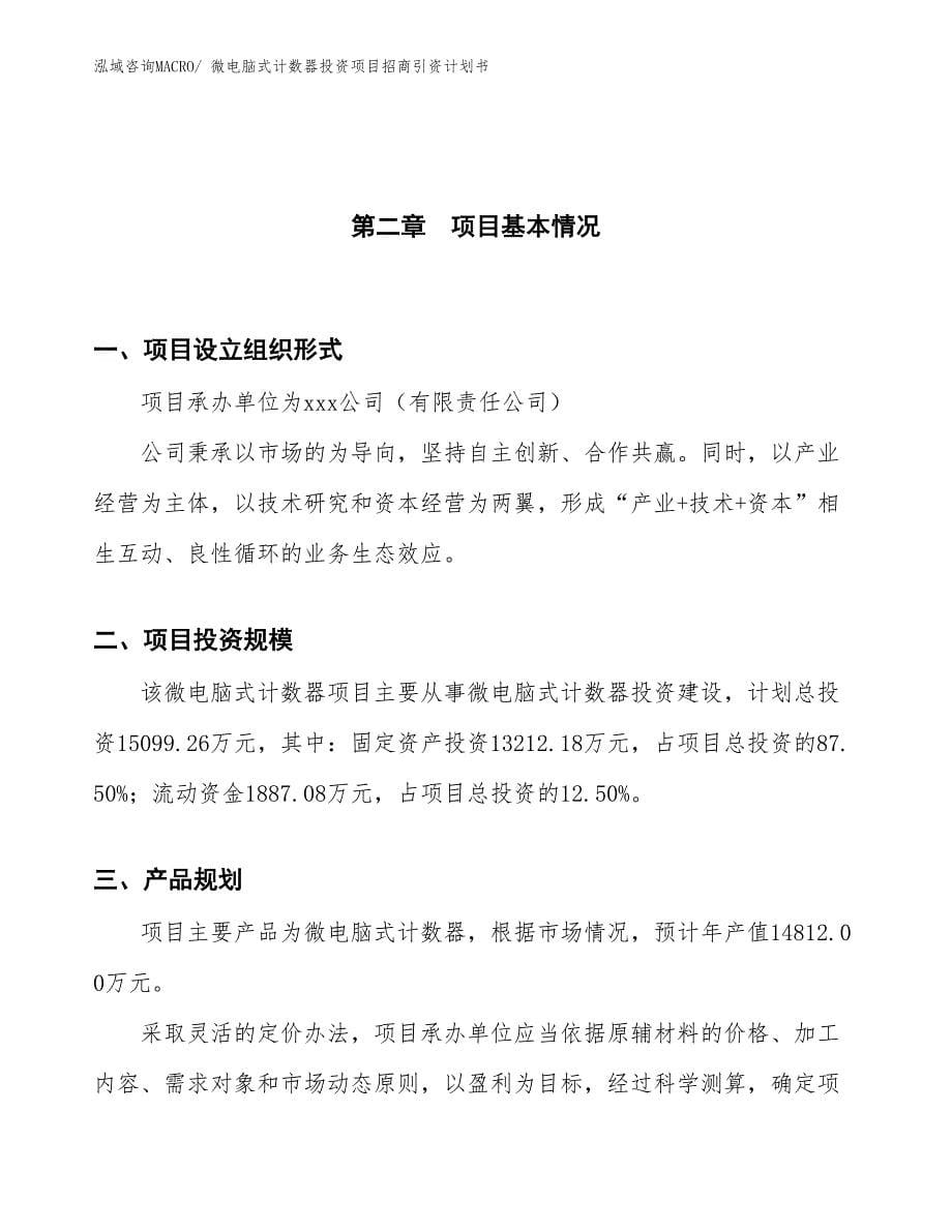 微电脑式计数器投资项目招商引资计划书_第5页