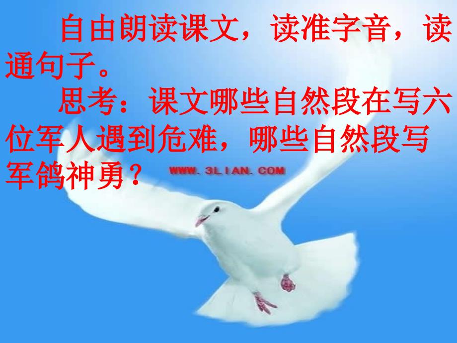 10鸽血染红的求救信红星乡中心小学金忠岭_第3页