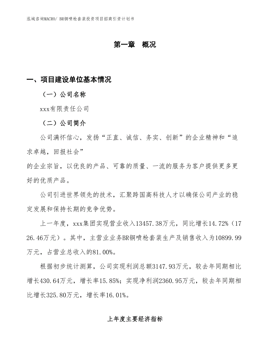 BR铜喷枪套装投资项目招商引资计划书_第1页