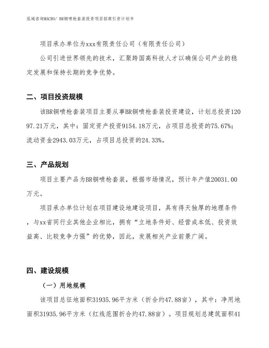 BR铜喷枪套装投资项目招商引资计划书_第5页