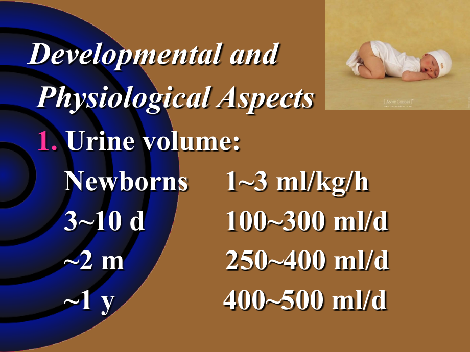 儿科泌尿系统-Renal英文课件_第2页