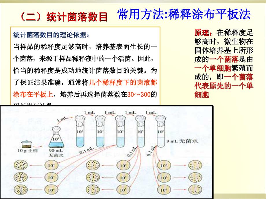 2.2《土壤中分解尿素的细菌的分离与计数》+课件+冯惠坚_第4页