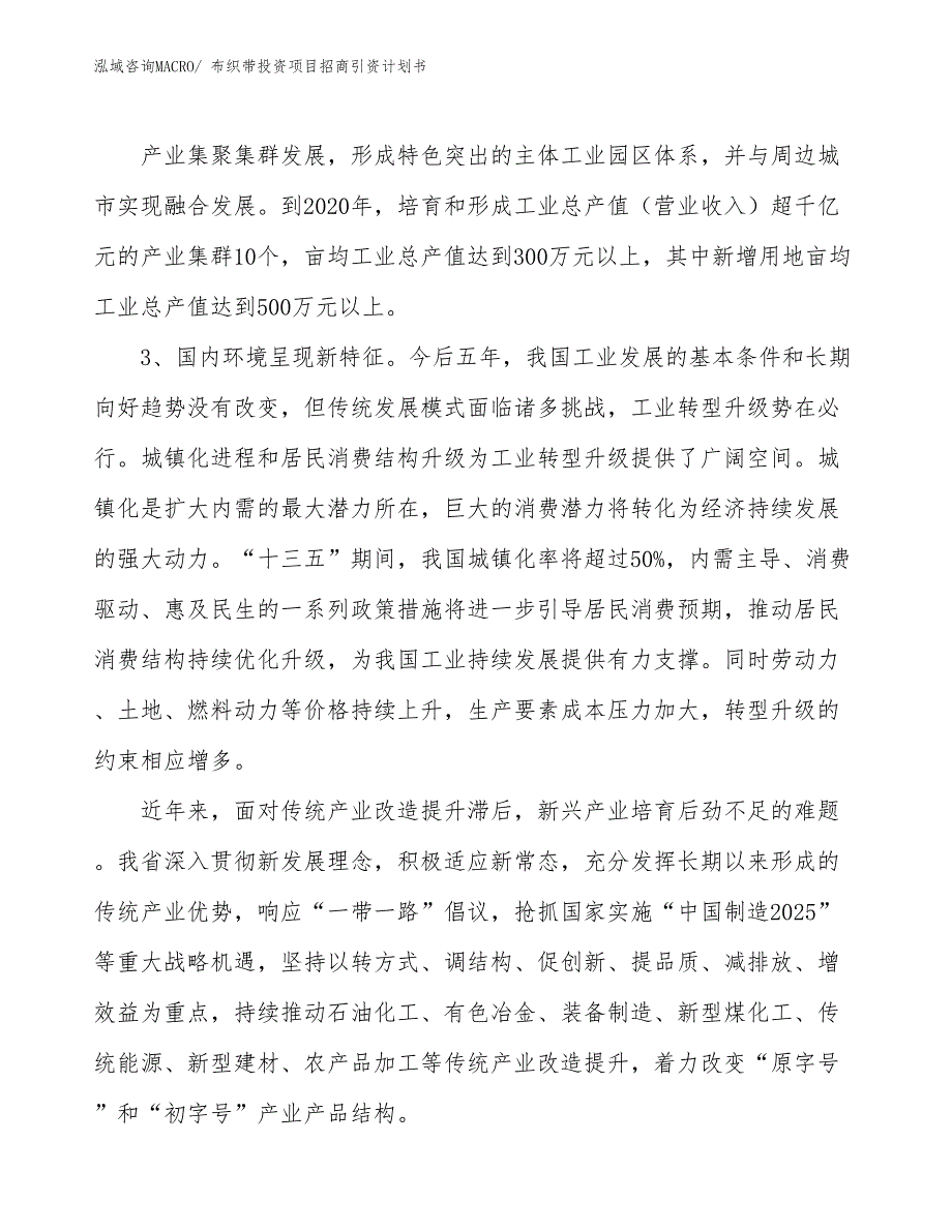 布织带投资项目招商引资计划书_第4页