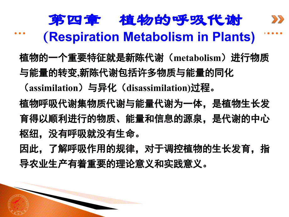植物生理学经典幻灯片04-植物的呼吸作用_第4页