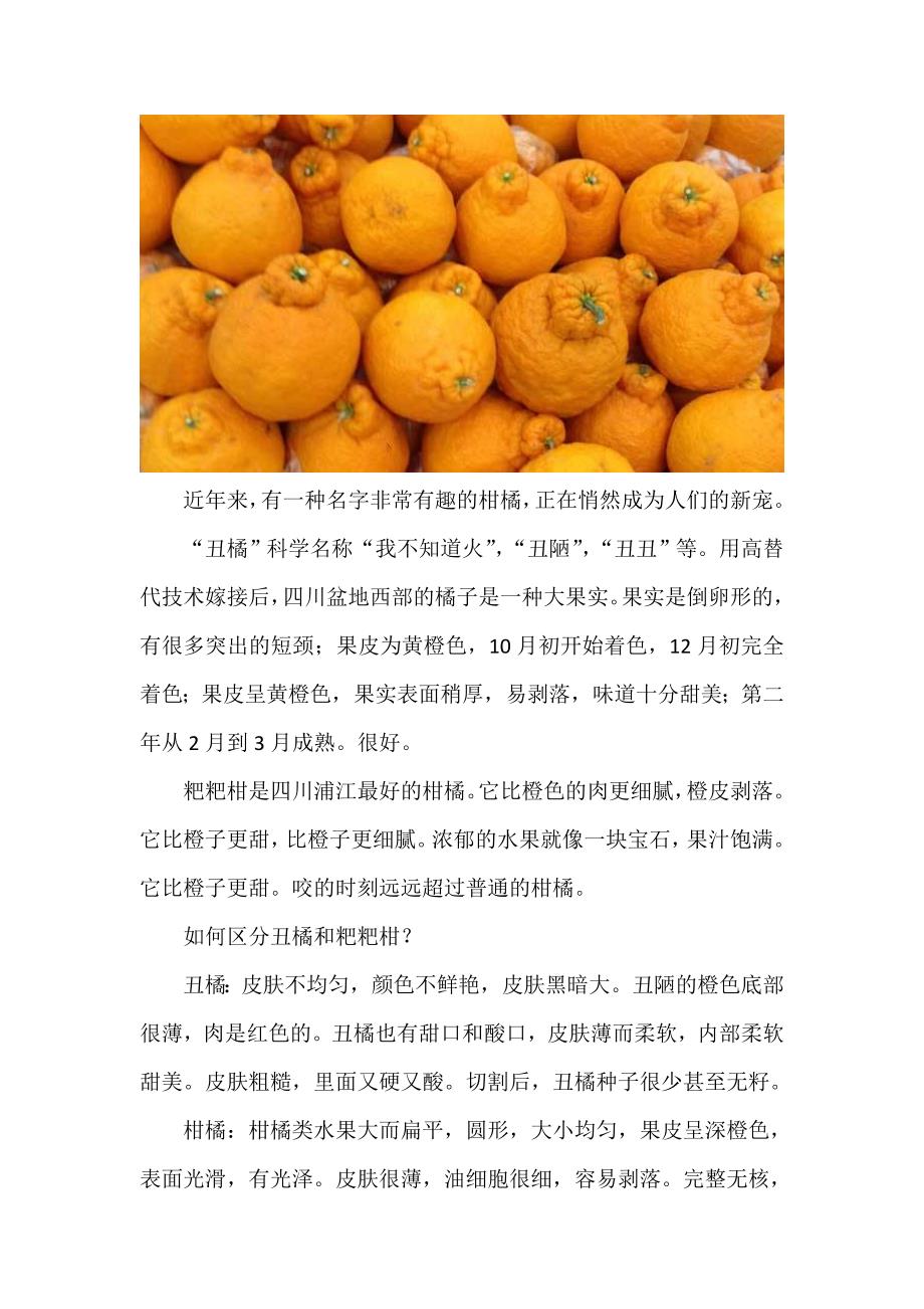 丑橘和粑粑柑的区别_第1页
