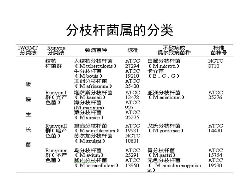 分枝杆菌属ppt-医学微生物学课件_第5页