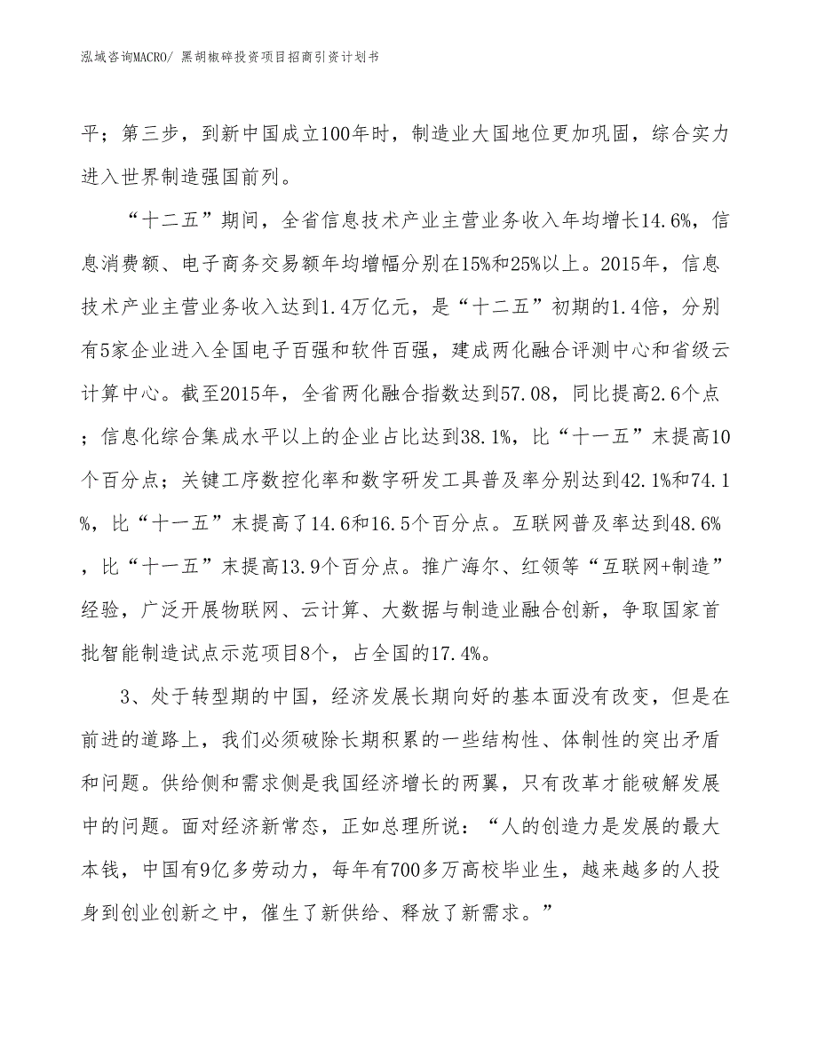 黑胡椒碎投资项目招商引资计划书_第4页