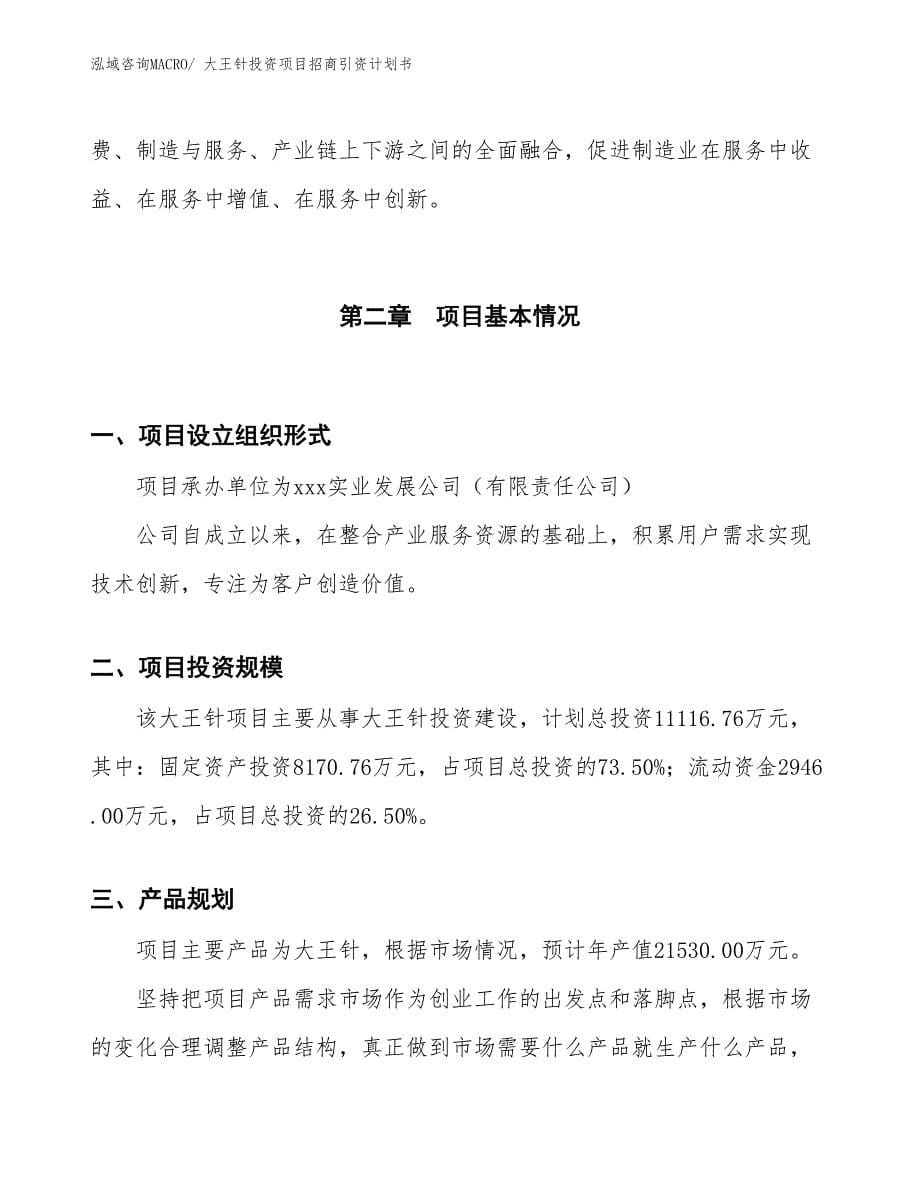 大王针投资项目招商引资计划书_第5页