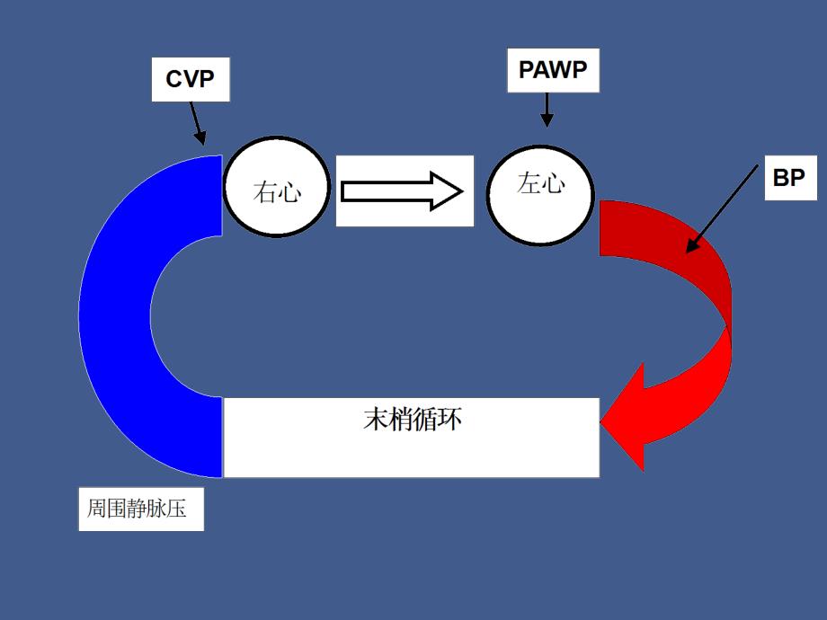 瓣膜学习班讲义-2007-3-7课件_第4页