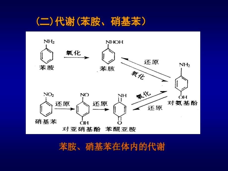 职业环境与健康幻灯片_第5页