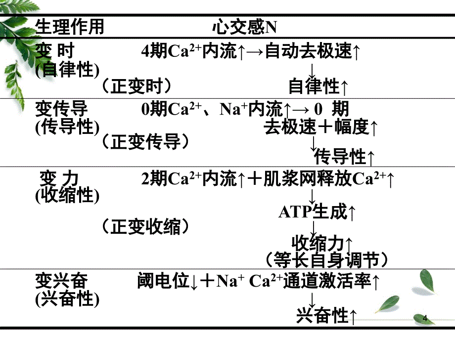 12级药学本科血液循环4201最新整理3_第4页