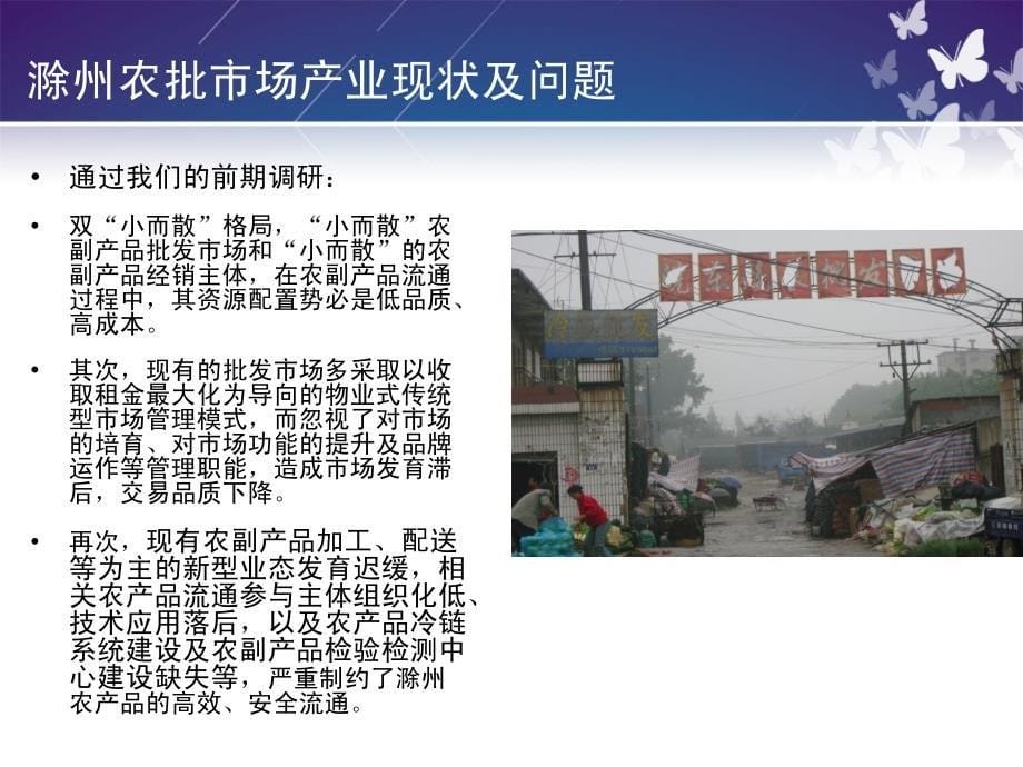 2010大滁城农产品物流园区市场项目建设报告_第5页
