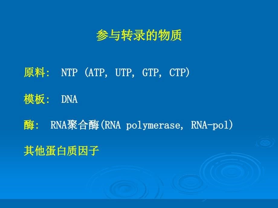 基础医学-生物化学第十一章 RNA的生物合成课件_第5页